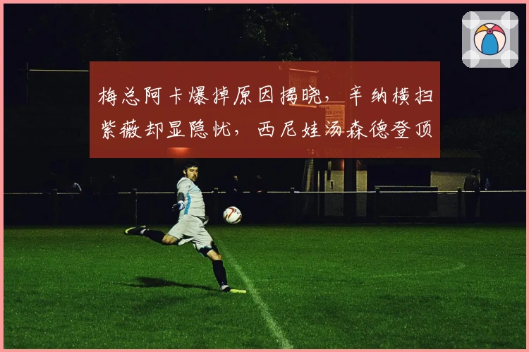 梅总阿卡爆掉原因揭晓，辛纳横扫紫薇却显隐忧，西尼娃汤森德登顶