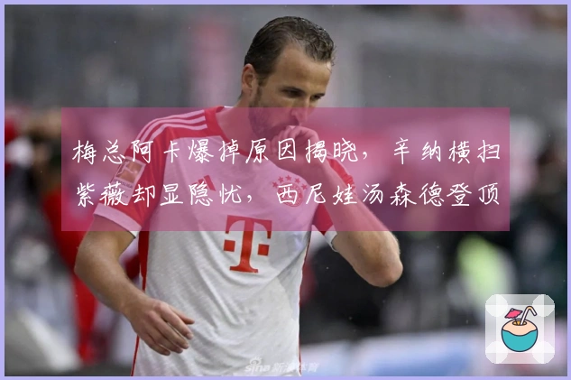 梅总阿卡爆掉原因揭晓，辛纳横扫紫薇却显隐忧，西尼娃汤森德登顶